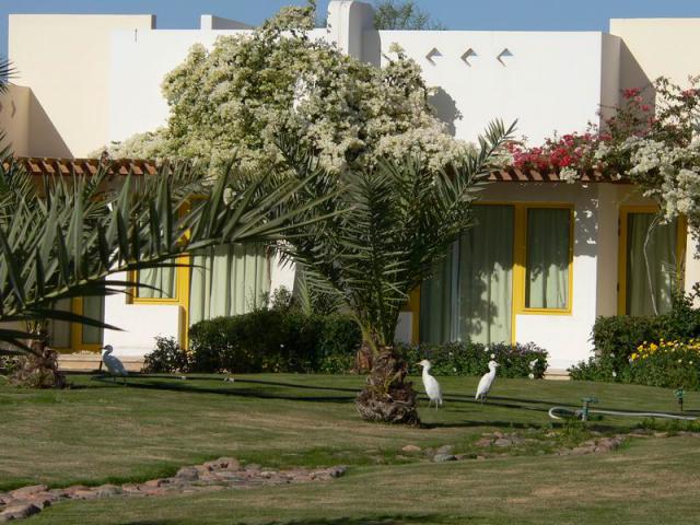 P1050597