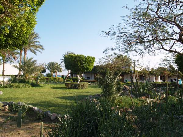 P1132003