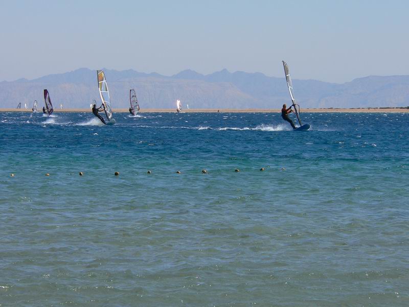 P1050569