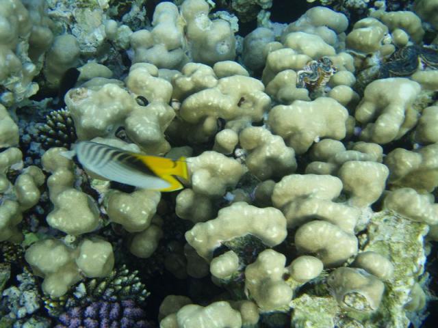 PB290390.JPG