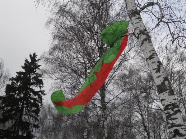 И у него (у кайта) это получилось.