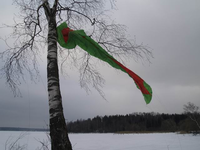 Он гордо развевался на ветру...