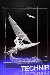 Windsurfer