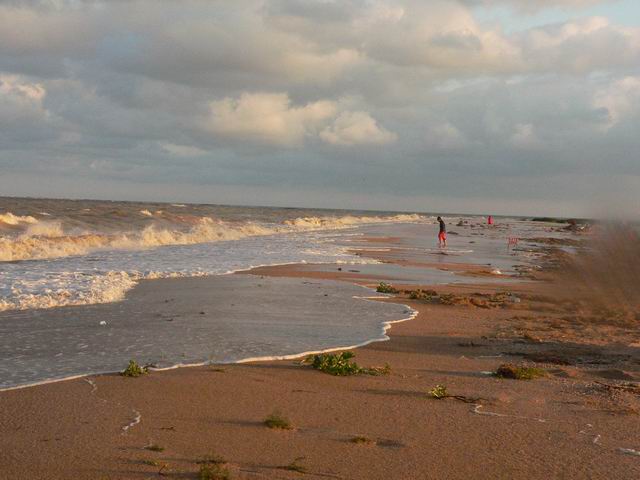 P1020504