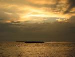 IMG_8270