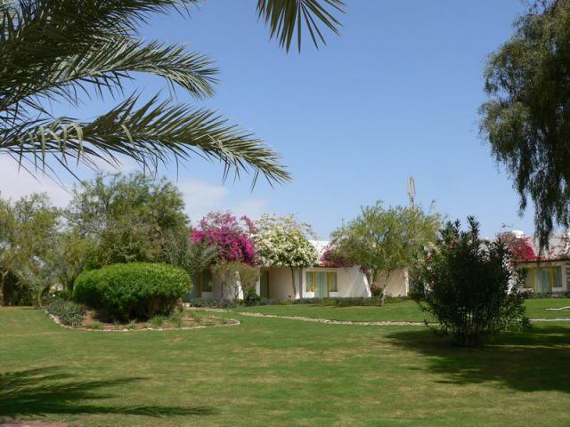 P1050346